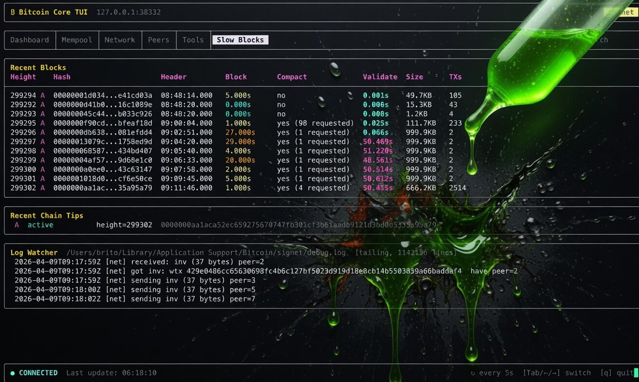 I blocchi lenti, veleno per Bitcoin